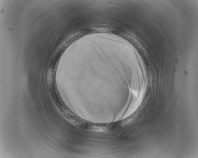 X0000086080167200704202200