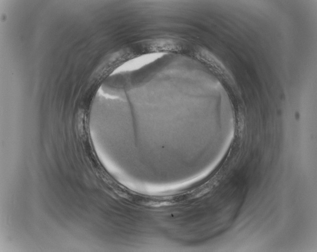 X0000086080169200704202200