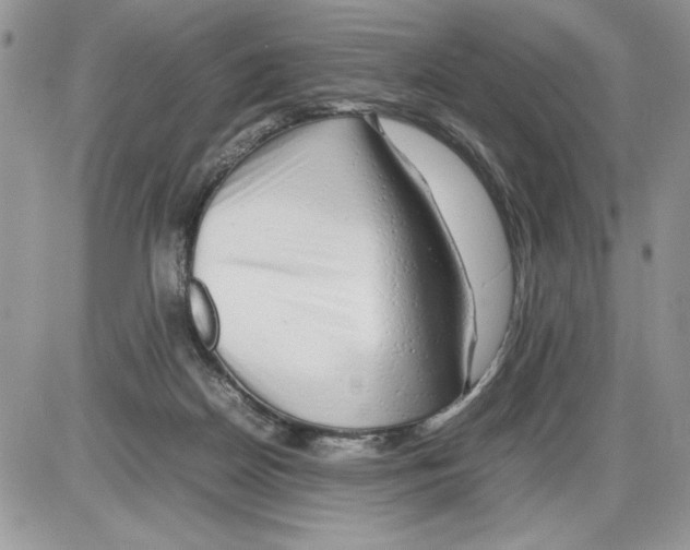 X0000086080170200704202200