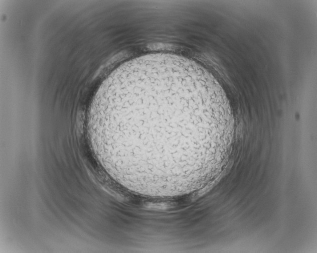 X0000086080171200704202200