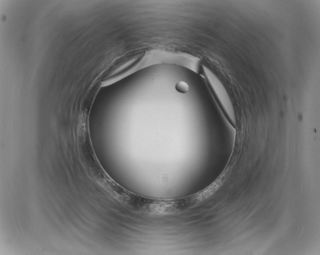 X0000086080172200704202200