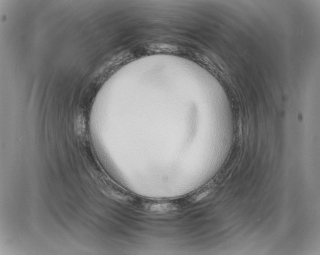 X0000086080173200704202200