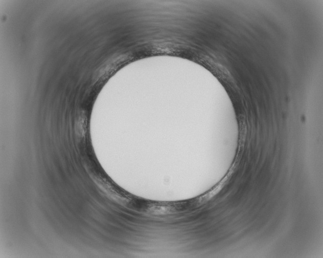 X0000086080174200704202200