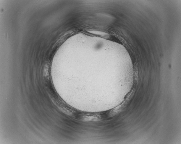 X0000086080175200704202200