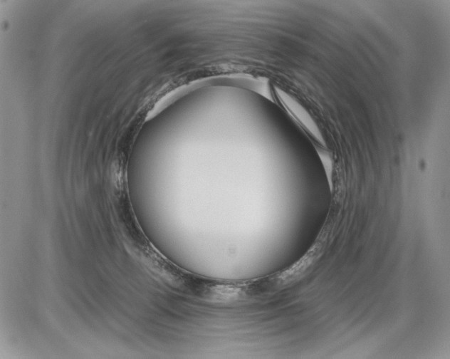 X0000086080176200704202200