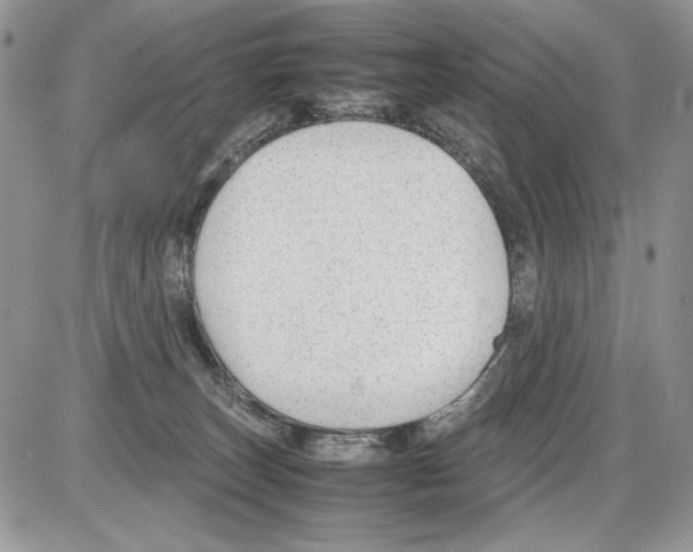 X0000086080179200704202200