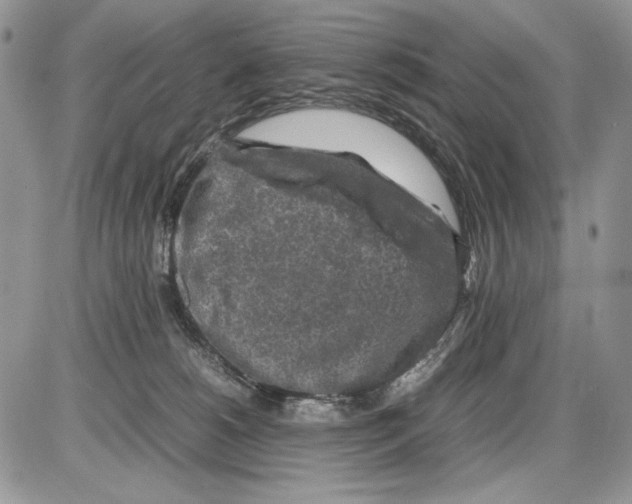 X0000086080180200704202200