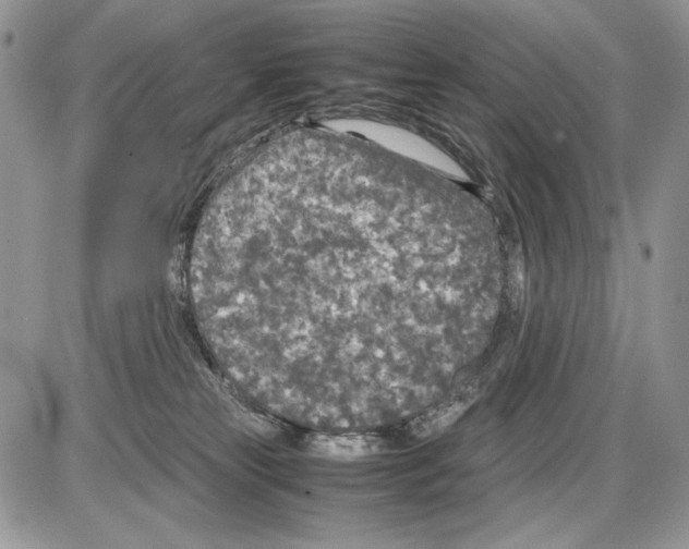 X0000086080181200704202200