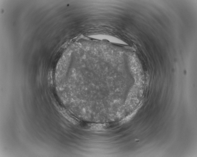 X0000086080182200704202200