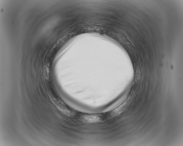 X0000086080183200704202200