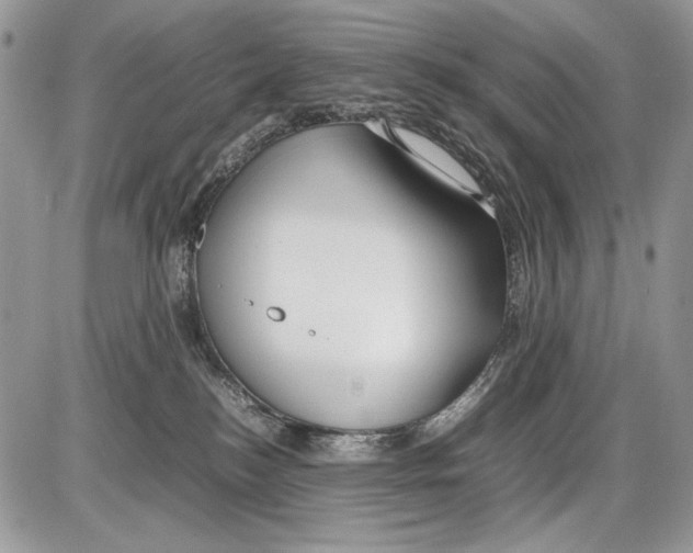 X0000086080184200704202200