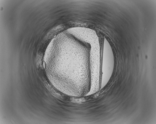 X0000086080185200704202200