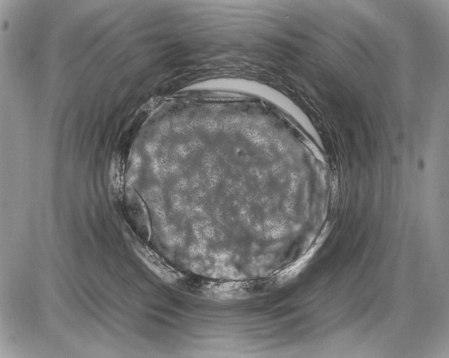 X0000086080186200704202200