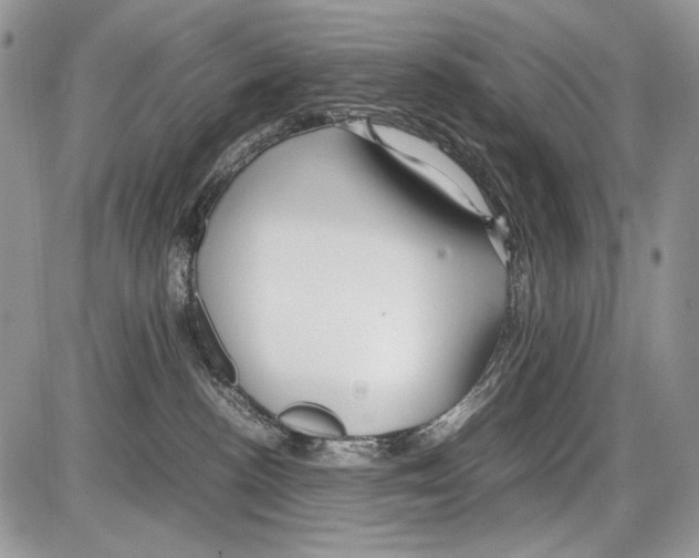 X0000086080188200704202200