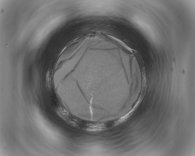 X0000086080191200704202200