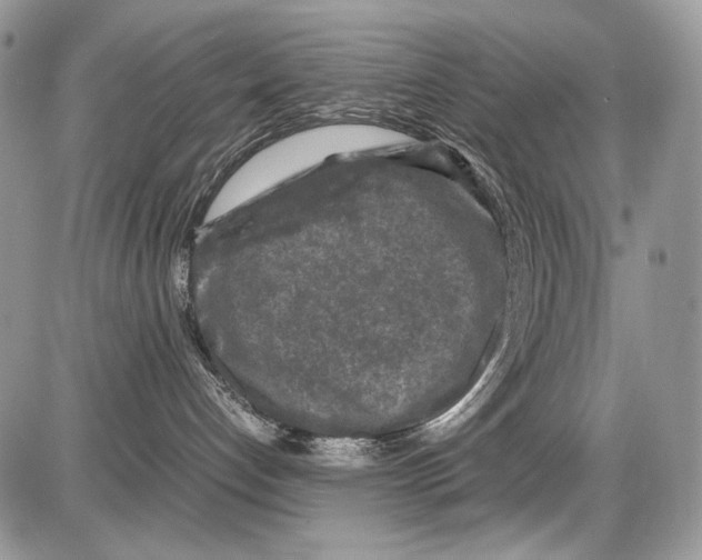 X0000086080192200704202200