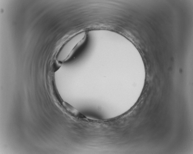 X0000086080193200704202159