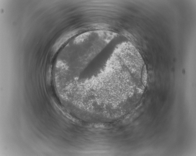 X0000086080194200704202159