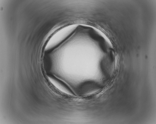 X0000086080195200704202159