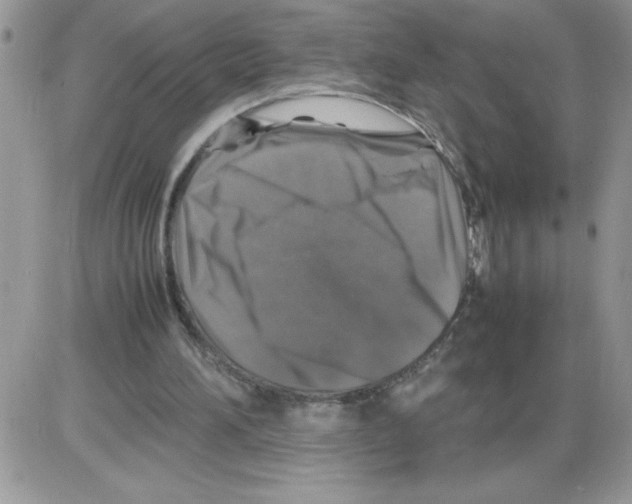 X0000086080196200704202159