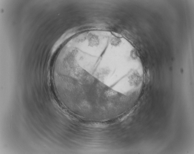 X0000086080198200704202159