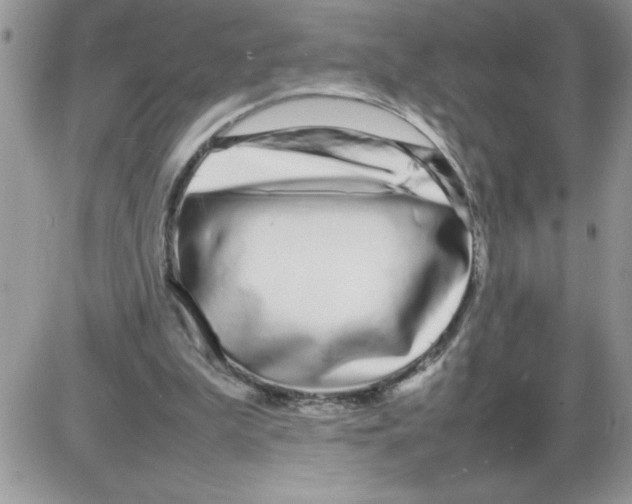 X0000086080199200704202159