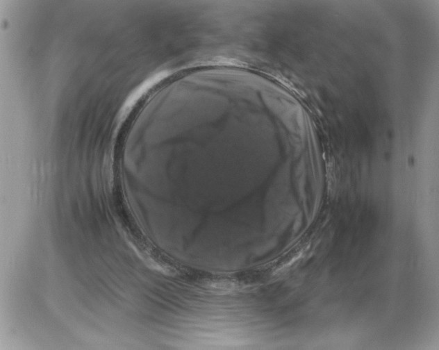 X0000086080200200704202159