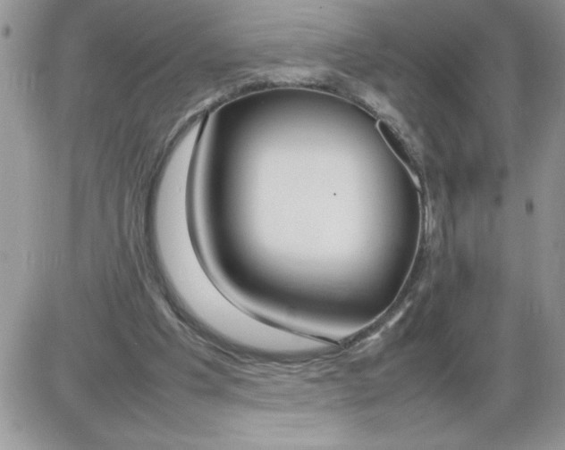 X0000086080201200704202159