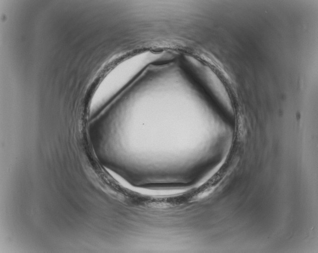 X0000086080203200704202159