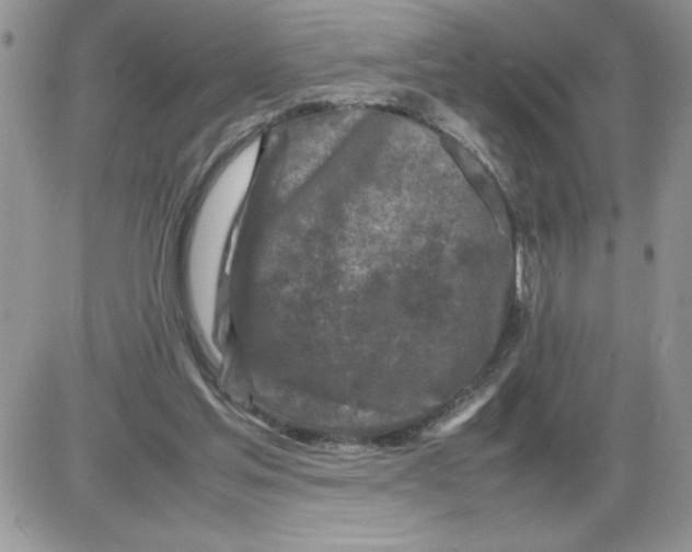 X0000086080205200704202159