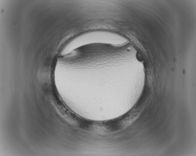 X0000086080207200704202159