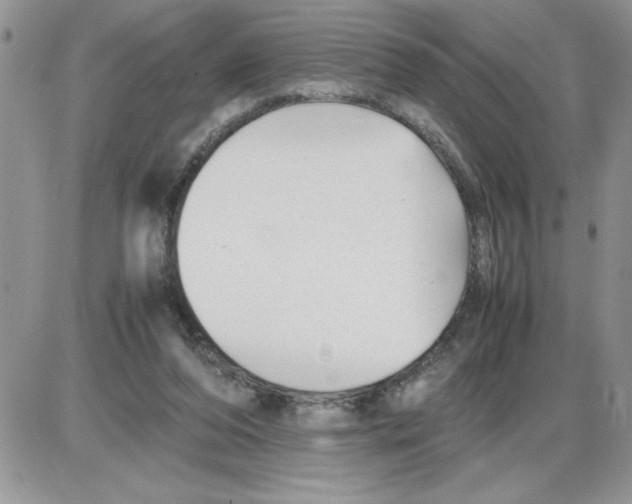 X0000086080208200704202159