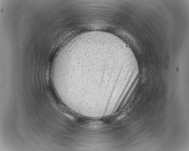 X0000086080210200704202159