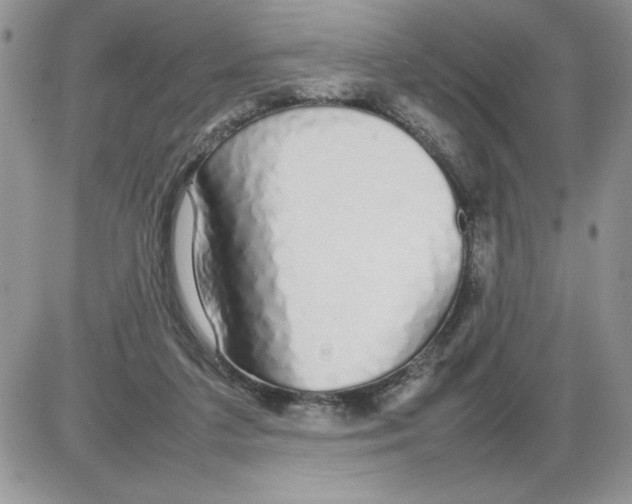 X0000086080211200704202159