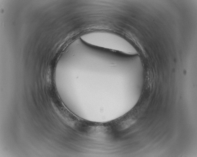 X0000086080212200704202159