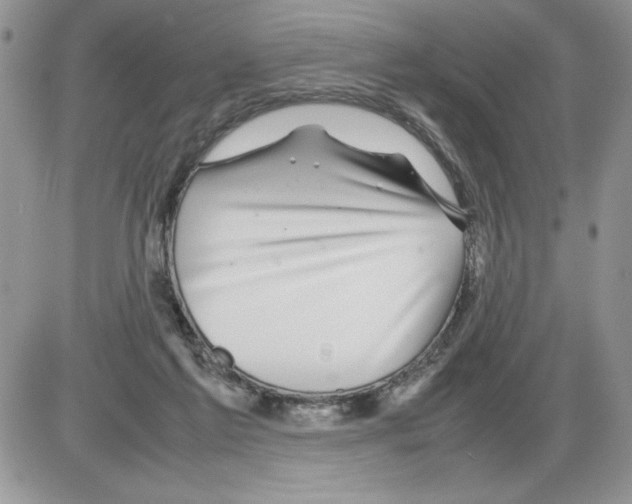 X0000086080213200704202159