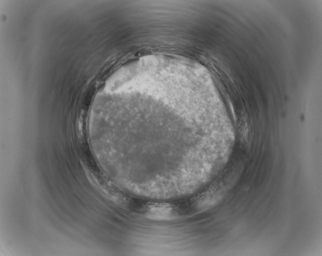 X0000086080214200704202159