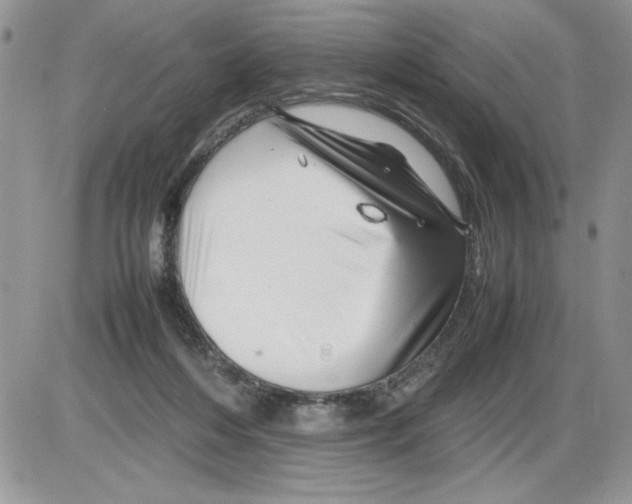 X0000086080216200704202159