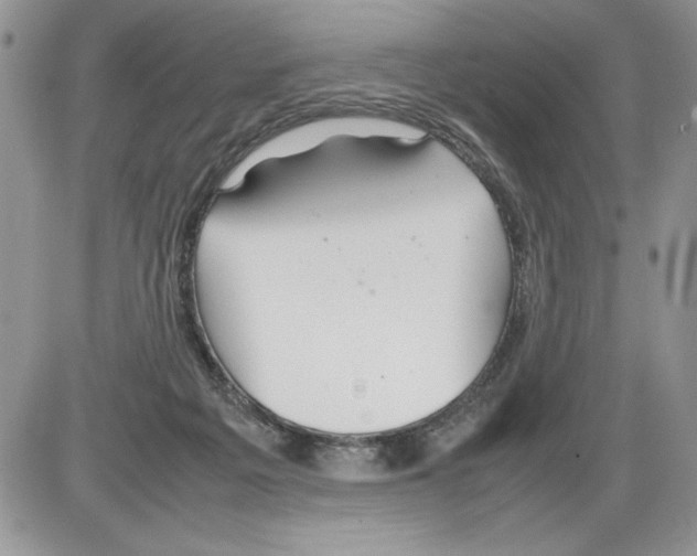 X0000086080217200704202159