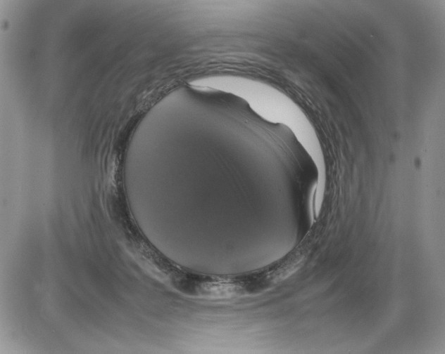 X0000086080219200704202159