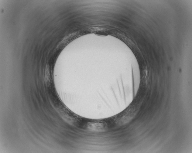 X0000086080220200704202159