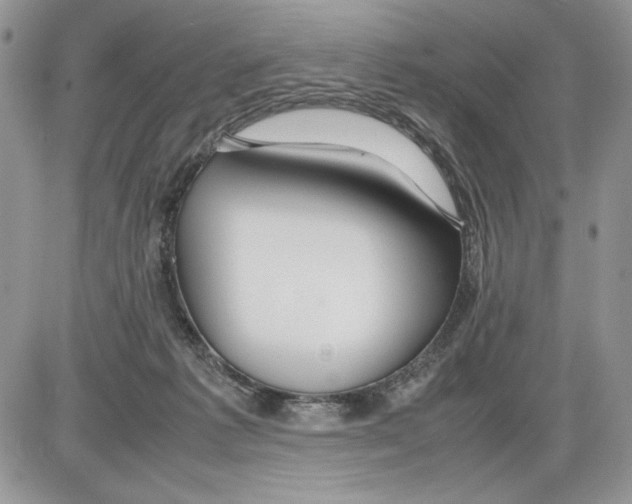 X0000086080221200704202159