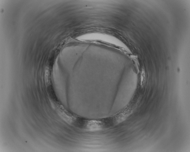 X0000086080222200704202159