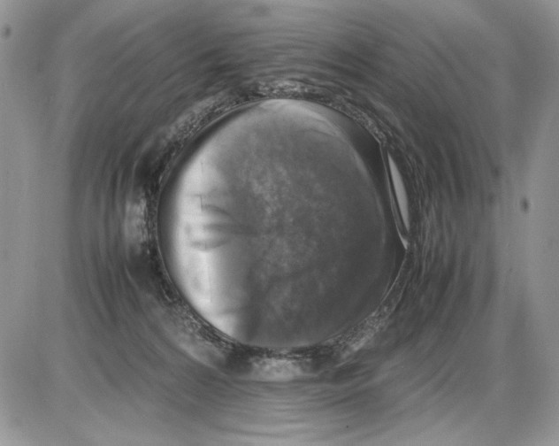 X0000086080224200704202159