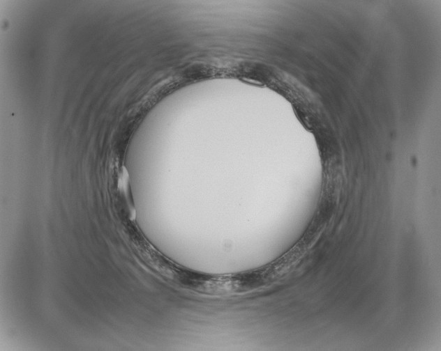 X0000086080225200704202159