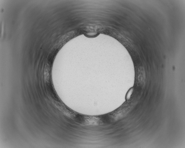 X0000086080226200704202159