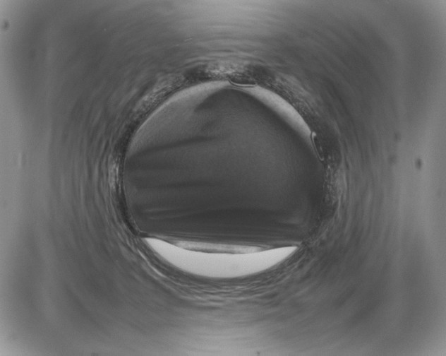 X0000086080227200704202159