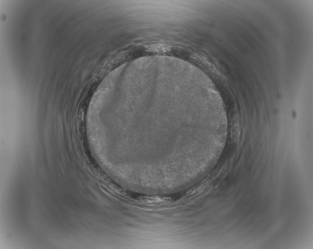 X0000086080229200704202159