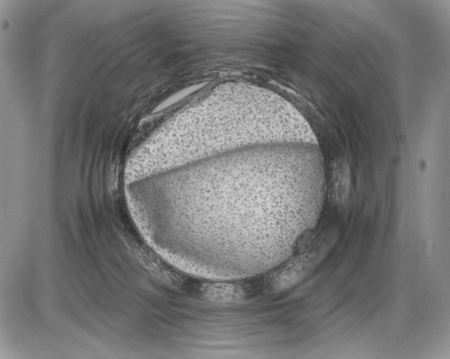 X0000086080230200704202159