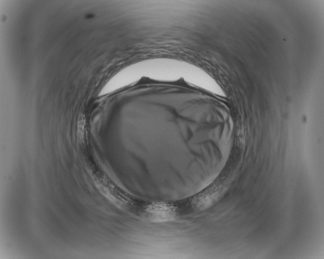 X0000086080231200704202159